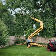 Best Leaf Removal  in Rio Bravo, TX